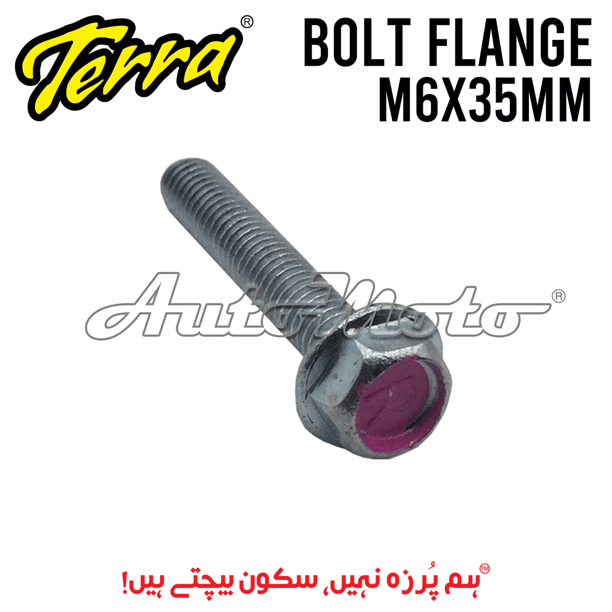 BOLT FLANGE 6X35